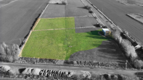 Plot for sale in Sutton st James photo